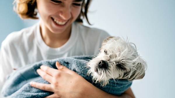 Donner un bain à son chien